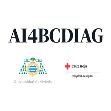 AI4BCDIAG-web