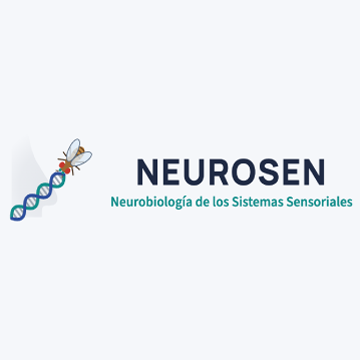 neurosen-web