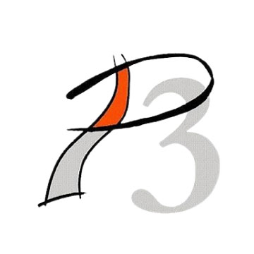 p3-web